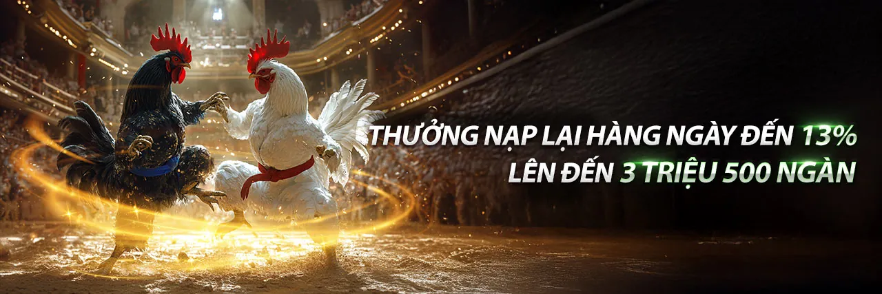 Tin tức ibet code – Cập nhật mới nhất về giải trí trực tuyến
