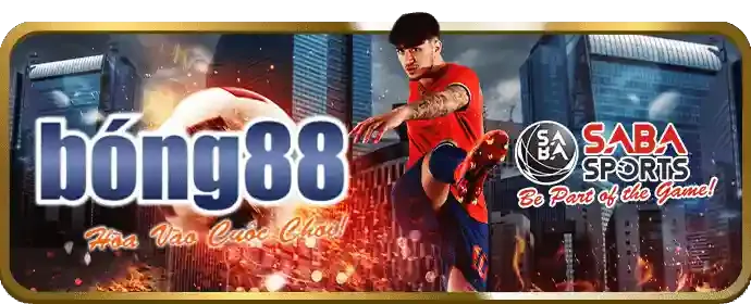 Các loại kèo đá gà phổ biến trên ibet code