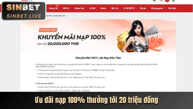 Người chơi tận hưởng trò chơi cá cược trực tuyến với ibet code